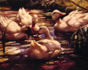 亚历山大 凯斯特 : Ducks in a Forest Pond